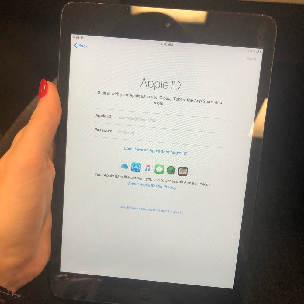 iPad Mini 2